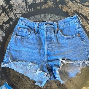 Denim Blue Women's Distressed Shorts